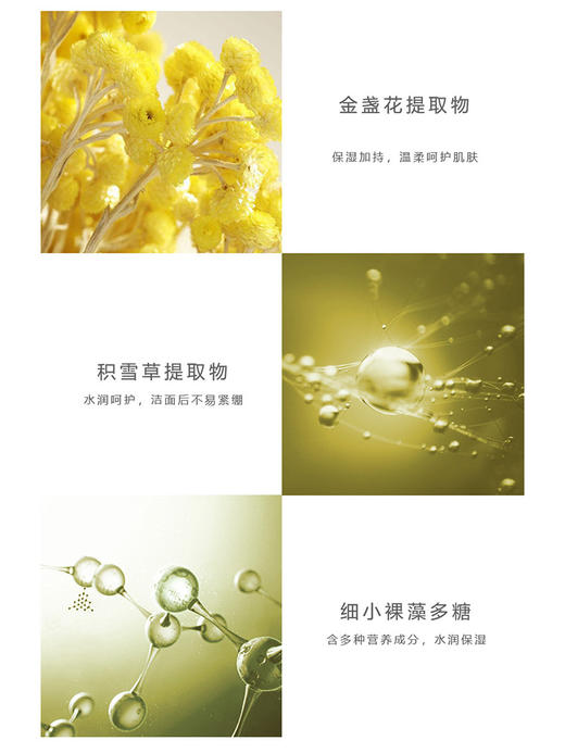 摩登红人蜡菊融颜洁面乳100ml 洗面奶清洁毛孔保湿官方正品 商品图2