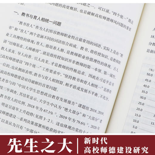 先生之大——新时代高校师德建设研究 商品图3