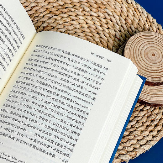哲学 里特尔 六点辞条系列 哲学历史辞典 商品图9