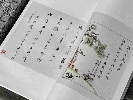 《词人纳兰容若手简》（附释文册），清 纳兰容若等书，夏承焘 序，四眼传统装订，宋锦函套，泾县纯手工宣纸；成书尺寸34.7*21.6cm，原色影印；共计50筒100页 商品图8