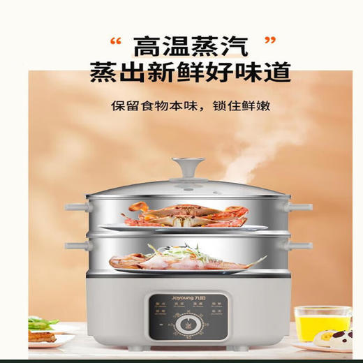 九阳电蒸锅DZ50HG-GZ355 商品图3