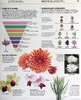 预售 【中商原版】知识百科 植物和真菌 英文原版 Knowledge Encyclopedia Plants and Fungi  DK 科学百科科普图书 商品缩略图4