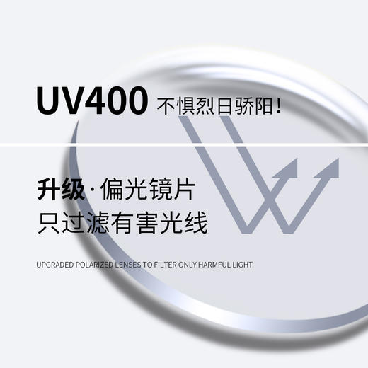 zippo男款太阳镜Z11100_58_bk 商品图1