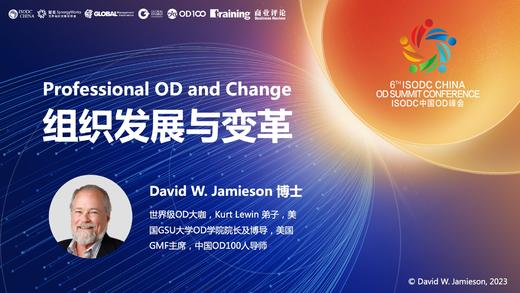 David Jamieson：组织发展与变革 商品图0