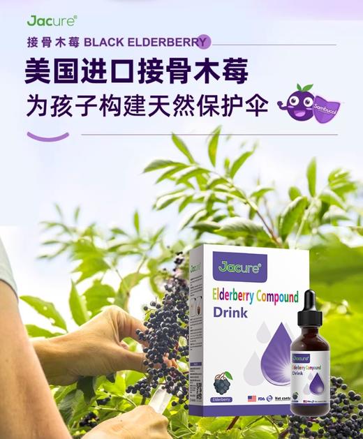 健萃乐Jacure接骨木莓复合饮品 商品图0