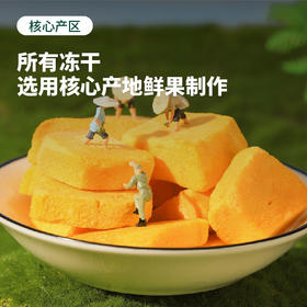 无添加原滋原味 | 森即FD冻干水果冻干 无加糖果干零食 桑葚/水蜜桃/草莓/苹果/菠萝/火龙果/芒果 吃法多样