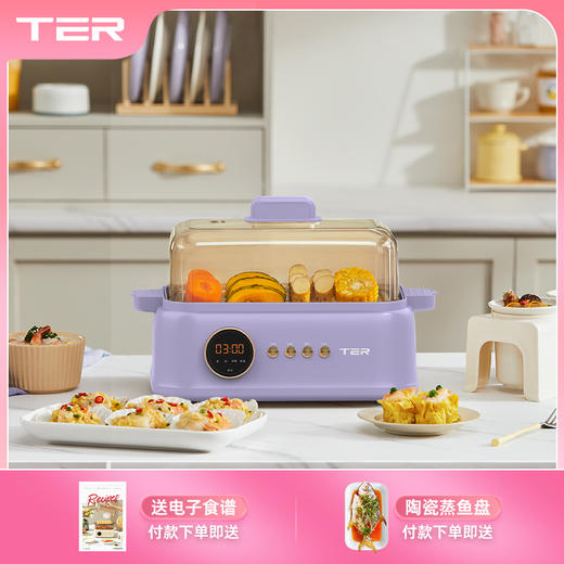 TER电蒸锅分区控制多功能家用大容量蒸炖锅蒸炖一体全自动蒸汽锅 商品图1