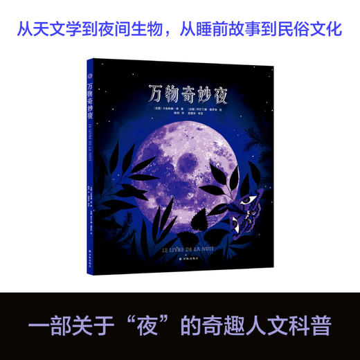 万物奇妙夜 商品图0