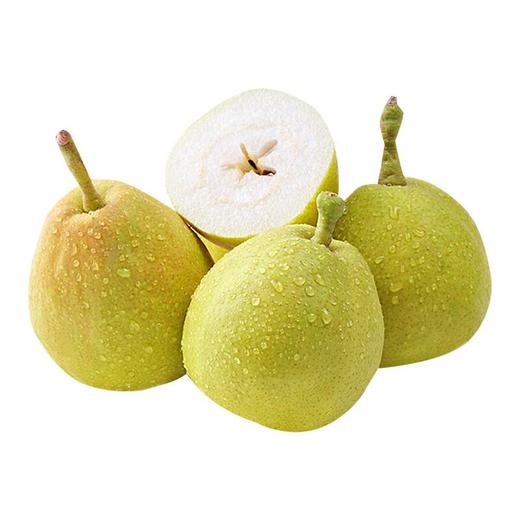 【早夜市特惠】库尔勒香梨 约500g/份 商品图0