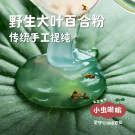 野生大叶百合粉 250g | 合作农友生产，来自贵州雷公山深处，生产者：倪永旺 &【公平贸易农人定价】