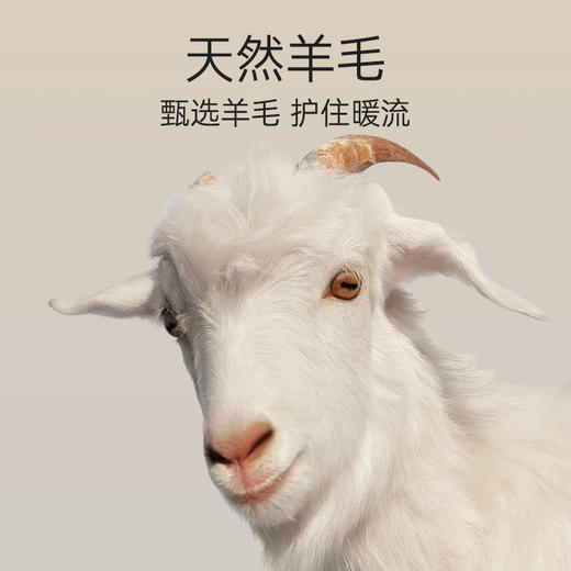 秋冬季蚕丝羊毛保暖背心，体验温暖与梦幻的奇妙结合，穿上一体式发热无痕背心，感受蚕丝柔软与马甲舒适并存。稳固杯制，完Mei展现女性曲线，让你保暖与时尚并行！ 商品图3