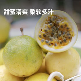 水果中的超级养颜抗氧化VC香水炸弹！海南爆香甜蜂蜜黄金百香果！