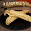 热售【人参原支】长白山人参泡酒材料80g新鲜大粗根人参单支煲汤煮粥补品富含人参皂苷（包装袋颜色随机） 商品缩略图2