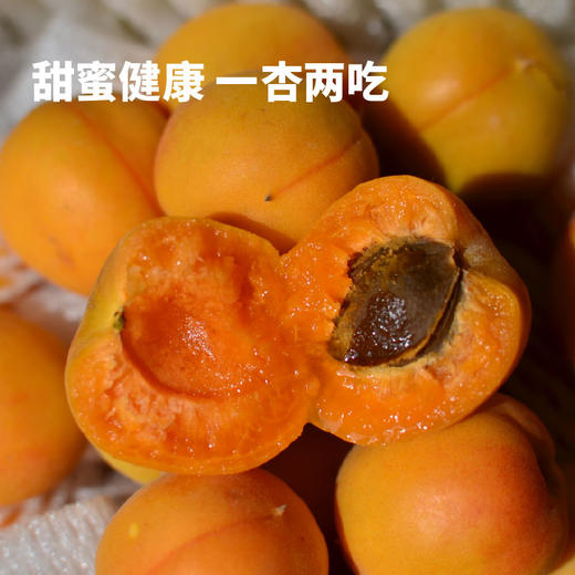 阿克苏吊干杏 自然造物 风味自成 一杏两吃 甜而不腻 300/袋 商品图4