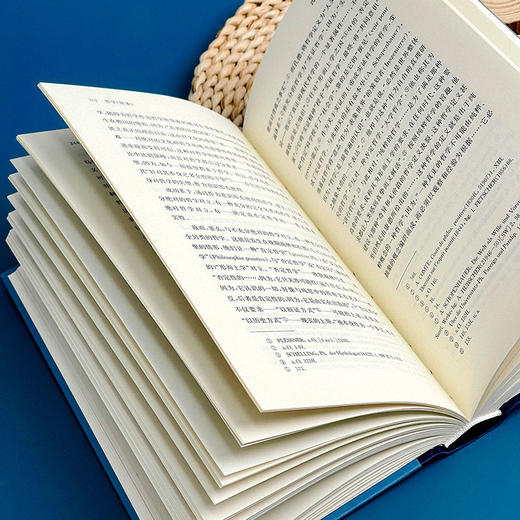 哲学 里特尔 六点辞条系列 哲学历史辞典 商品图10