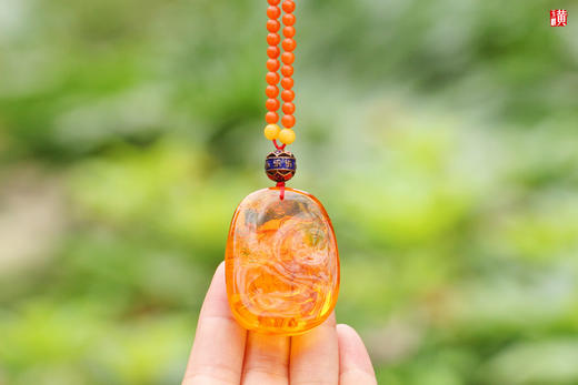 金珀【龙龟】吊坠，配保山南红珠链 商品图3