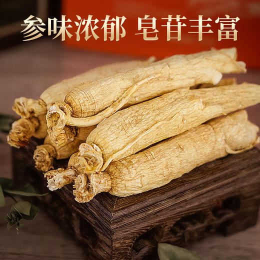 热售【人参原支】长白山人参泡酒材料80g新鲜大粗根人参单支煲汤煮粥补品富含人参皂苷（包装袋颜色随机） 商品图1
