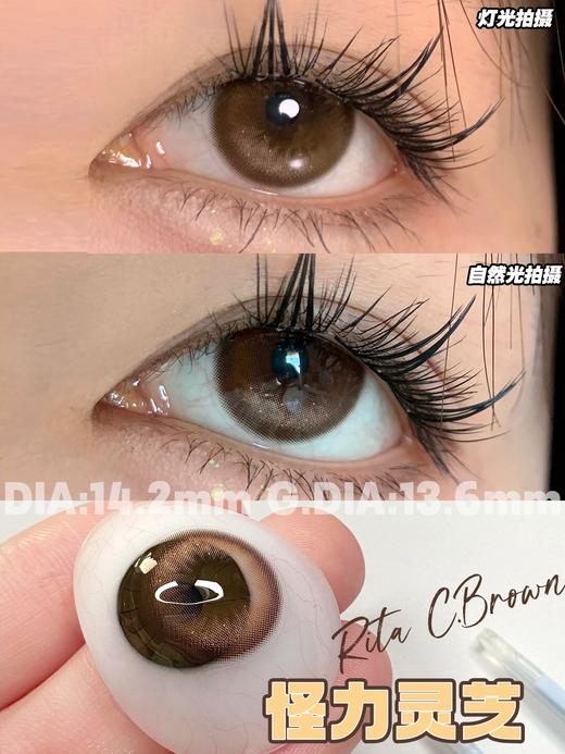 正品年抛 | Cococon系列怪力灵芝美瞳 | 直径14.2着色13.6 | 韩国产 商品图0