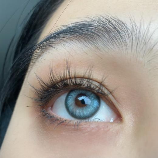 Bollycon日抛新品-Clone Blue 平行纽约 商品图12