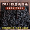 41      2025新茶云南云南野生古树滇红茶正宗浓香型红茶叶自己喝250g新品发布拍一发二共一斤 商品缩略图5