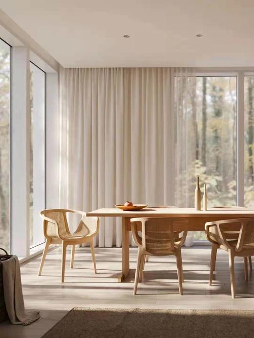 Karl 餐椅 商品图2