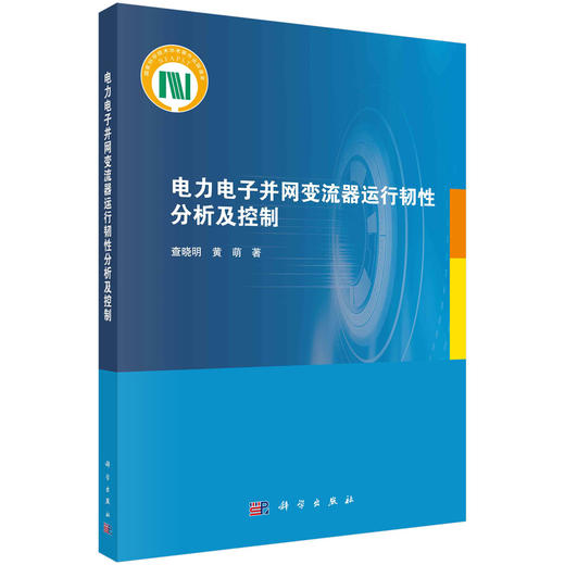 电力电子并网变流器运行韧性分析及控制 商品图0