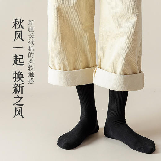 洁丽雅3双装纯棉加厚毛圈时尚长筒女袜纯色袜子保暖舒适袜子女 商品图5