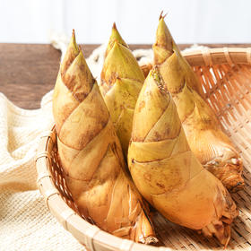 【现挖72小时内发货】临安·天目山鲜冬笋  鲜嫩脆爽 原产地直发 时令生鲜