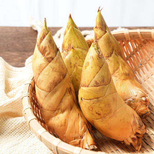 【现挖72小时内发货】临安·天目山鲜冬笋  鲜嫩脆爽 原产地直发 时令生鲜 商品图0