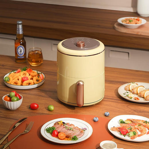 康佳（KONKA） 电炸锅家用多功能不沾涂层无油薯条机空气炸锅KKZG-2507-M 商品图1