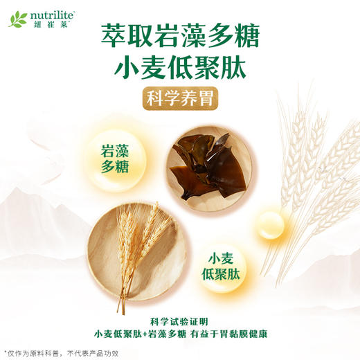 安利纽崔莱汉本萃葆蔚饮品30条装 商品图2