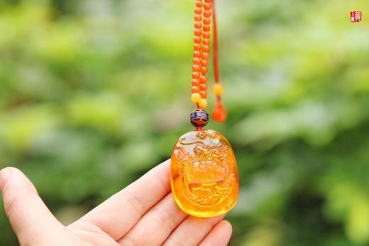 金珀【龙龟】吊坠，配保山南红珠链 商品图1
