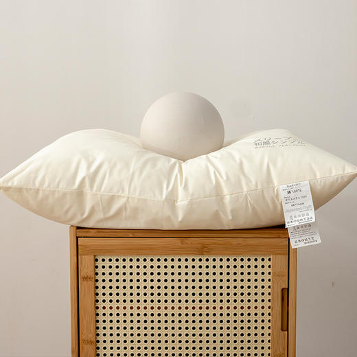 【烫画枕】烫画柔软平角单边枕芯全棉高支酒店蓬松高枕头 商品图9