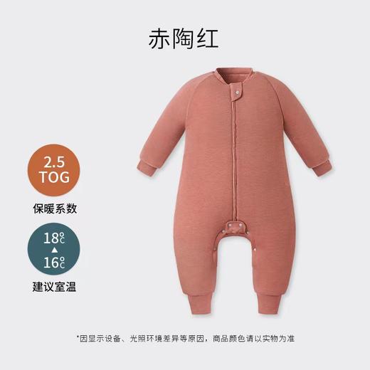 Nest Designs潘通限定婴儿睡袋秋冬款薄厚夹棉宝宝保暖分腿防踢被 商品图3