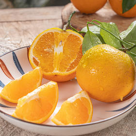 【九月红—秭归脐橙】一口爆汁的橙色，多汁肉嫩、细嫩无渣、酸甜可口、橙香浓郁