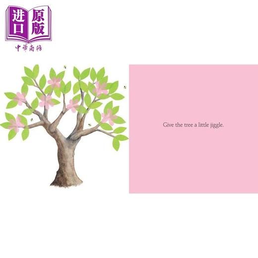 【中商原版】Christie Matheson 大自然动植物科普绘本2册套装 英文原版轻敲魔法树Tap the Magic Tree Plant the Tiny Seed 商品图3