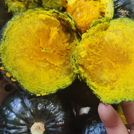 丽江拉市 高原贝贝南瓜 商品图2