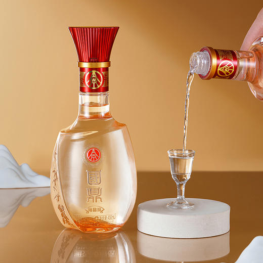 宜宾五粮液仙林生态 国鼎-裕品珍 白酒 450ml*2 商品图3