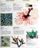 预售 【中商原版】知识百科 植物和真菌 英文原版 Knowledge Encyclopedia Plants and Fungi  DK 科学百科科普图书 商品缩略图5