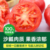 【绿行者】桃太郎番茄5斤 商品缩略图1