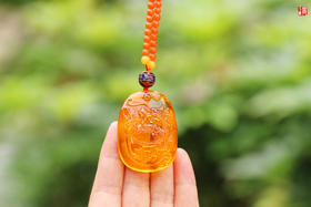 金珀【龙龟】吊坠，配保山南红珠链