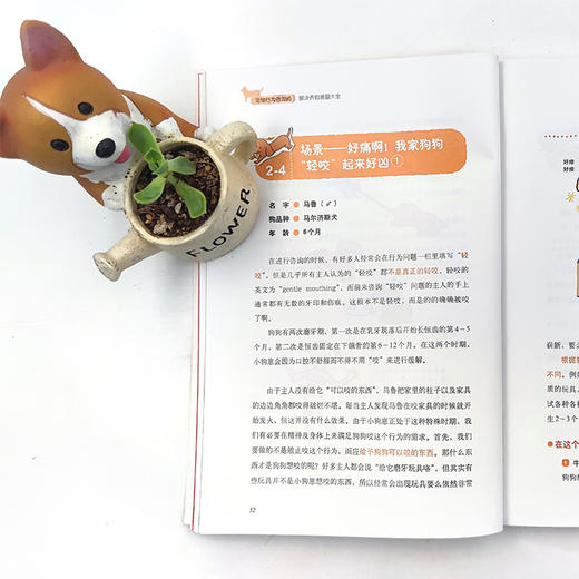 宠物行为咨询师解决养狗难题大全（我的宠物书） 商品图3