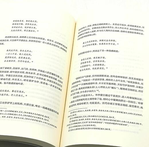 《历代西域咏边诗研究》（上下）16开平装，薛宗正著，新疆人民出版社2017年一版一印，售价188元。 商品图10