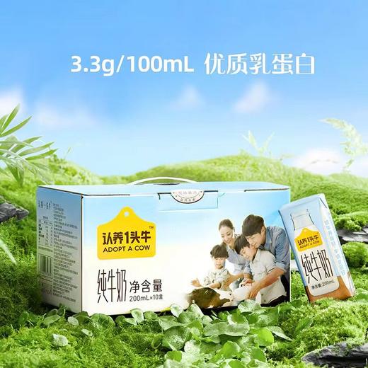 认养一头牛（全脂纯牛奶/经典原味酸奶）200g*10盒/3箱【FY】 商品图1