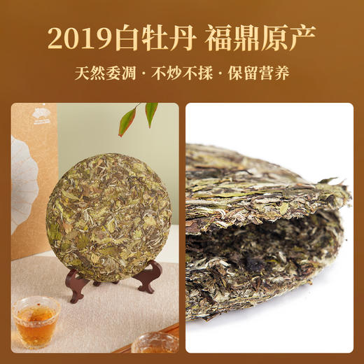 艺福堂 茶叶 杭州亚运会特许定制 陈年老白茶礼盒 福鼎原产2019白牡丹 300g 商品图5