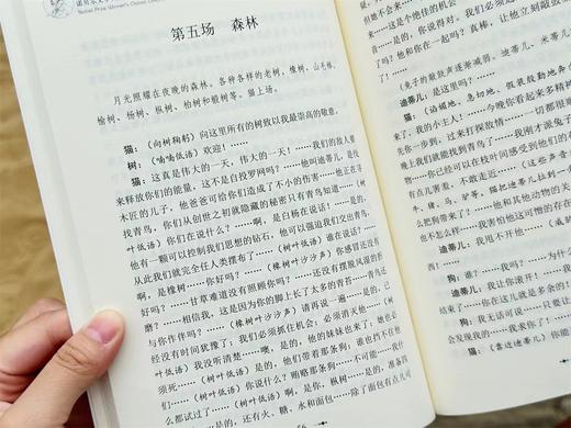 【现货】 诺贝尔文学奖获奖大师儿童作品经典 （全4册） 商品图6