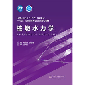 桩墩水力学（全国水利行业“十三五”规划教材 “十四五”时期水利类专业重点建设教材）