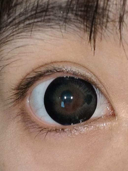 【大直径】Agenscolor-绿光森林-14.5mm【年抛0-1000度 不含525/575】 商品图2