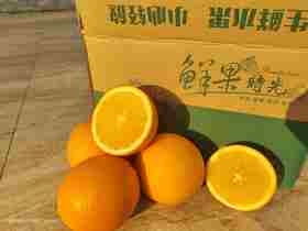 1.1-2日出单奖励业务伙伴纽荷尔脐橙一件（十堰）
