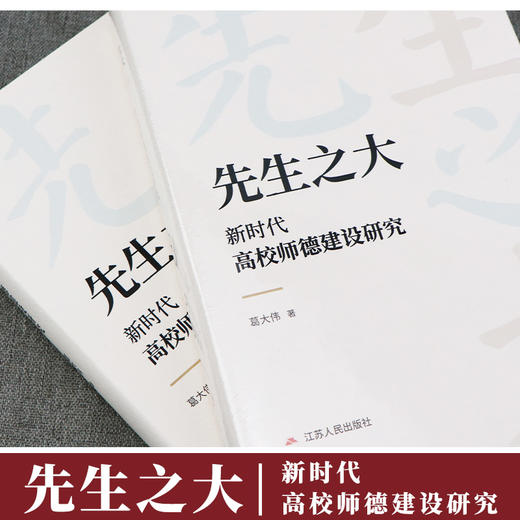 先生之大——新时代高校师德建设研究 商品图1